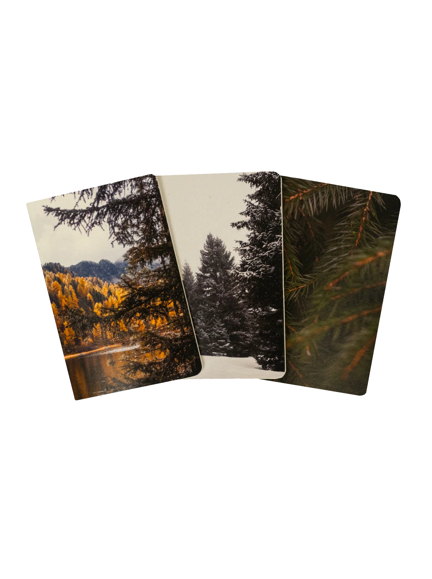 Adventure Notes - Northwoods