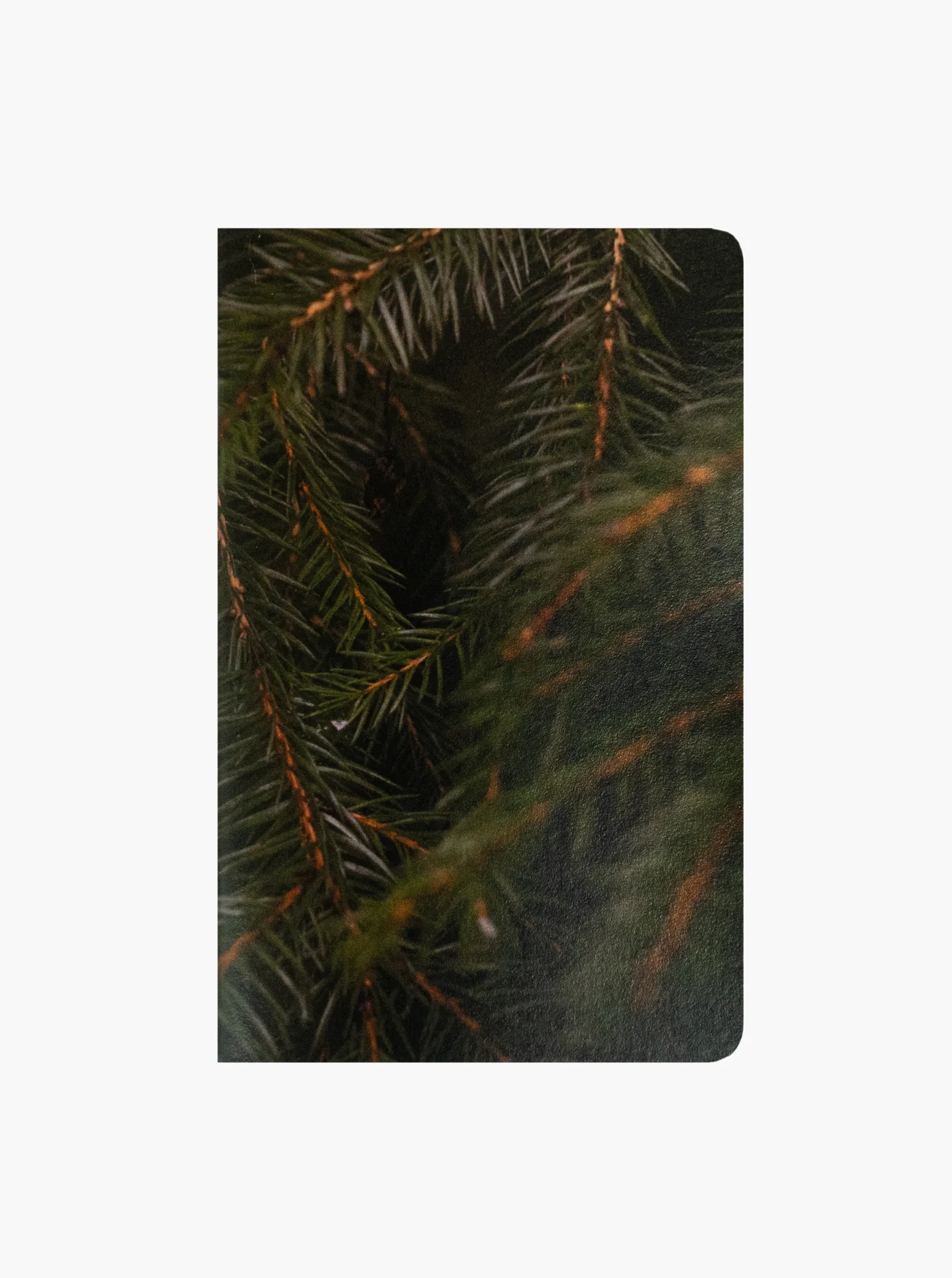 Adventure Notes - Northwoods - Image 5