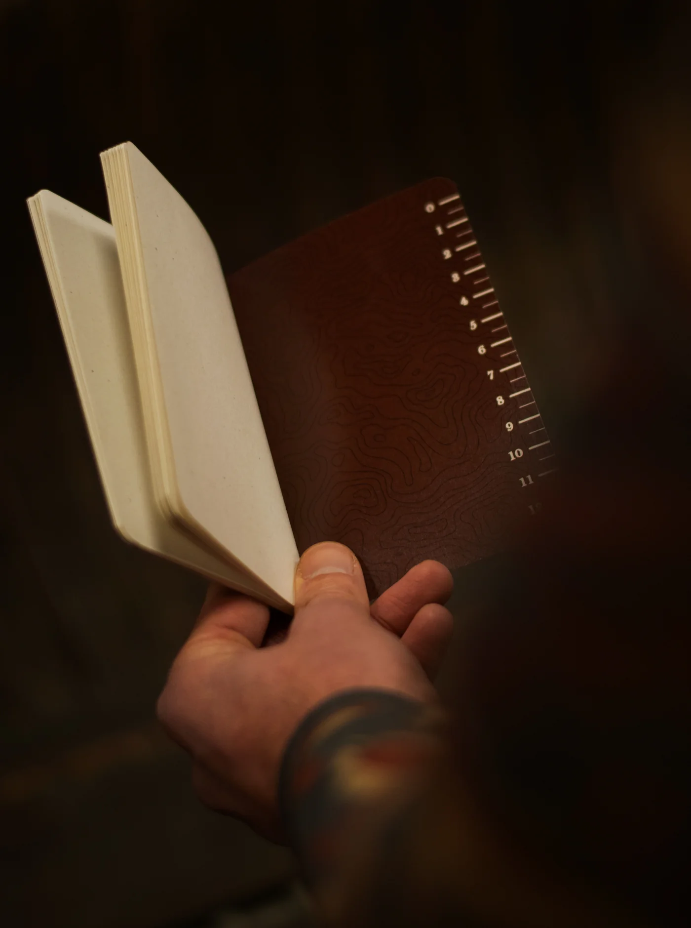 Adventure Notes - Northwoods - Image 6
