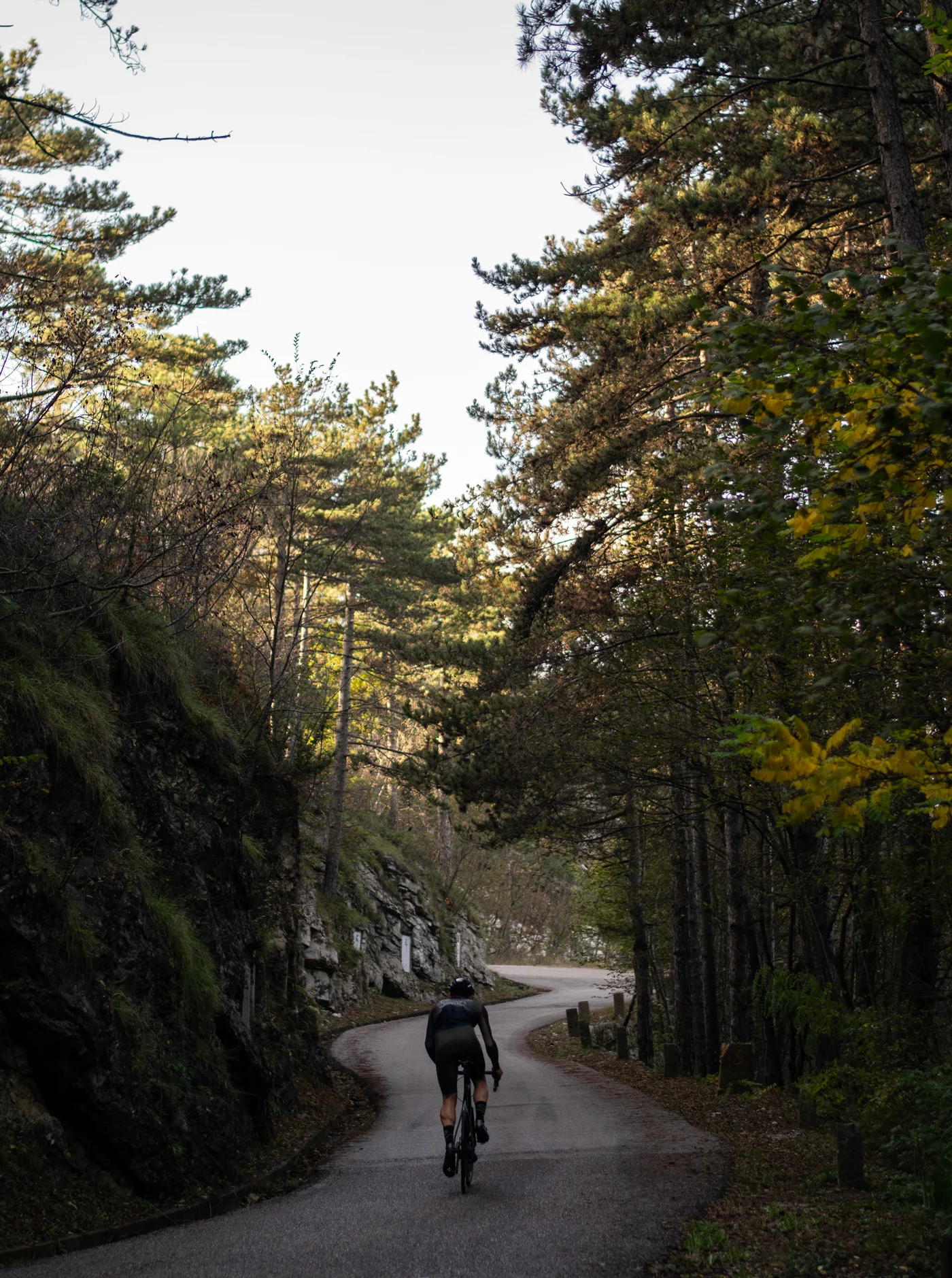 Cycling Long Sleeve Jersey - Bush - Image 9
